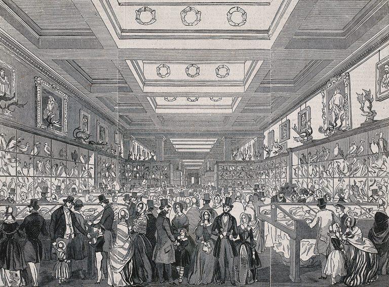 The British Museum: the Zoological Gallery, crowded with holiday visitors. Wood engraving, 1845. The British Museum: the Zoological Gallery, crowded with holiday visitors. Wood engraving, 1845.