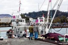 სოხუმი, აფხაზეთი. 2011