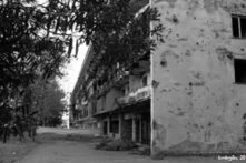 სოხუმი, 2010