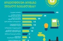 ახდებს თუ არა გარემოს დაცვის საკითხები თქვენს ყოველდღიურობაზე გავლენას