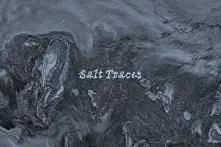 Salt Traces - Publication Cover image