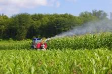 სურსათის ეროვნული სააგენტო