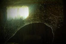 Photo by Anna Dziapshipa