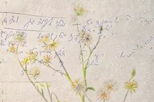 Text and flowers