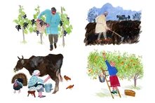 Illustration of different agricultural activities: a man is collecting the grapes, working on land, woman is milking the cow and collecting fruits from the tree.