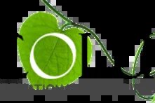 Ecolur's logo