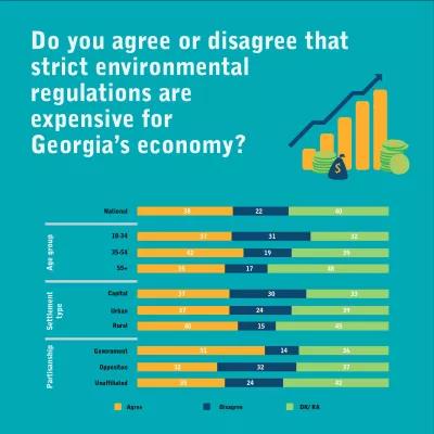 Do you agree or disagree that strict environmental regulations are expensive for Georgia's economy
