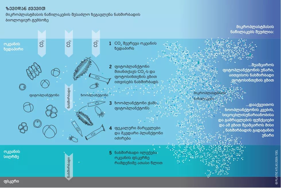 მიკროპლასტმასის ნაწილაკების შესაძლო ზეგავლენა ნახშირბადის ბიოლოგიურ ტუმბოზე - ინფოგრაფიკა