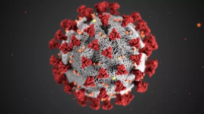 This illustration, created at the Centers for Disease Control and Prevention (CDC), reveals ultrastructural morphology exhibited by coronaviruses. Note the spikes that adorn the outer surface of the virus, which impart the look of a corona surrounding the virion, when viewed electron microscopically. A novel coronavirus, named Severe Acute Respiratory Syndrome coronavirus 2 (SARS-CoV-2), was identified as the cause of an outbreak of respiratory illness first detected in Wuhan, China in 2019. The illness cau