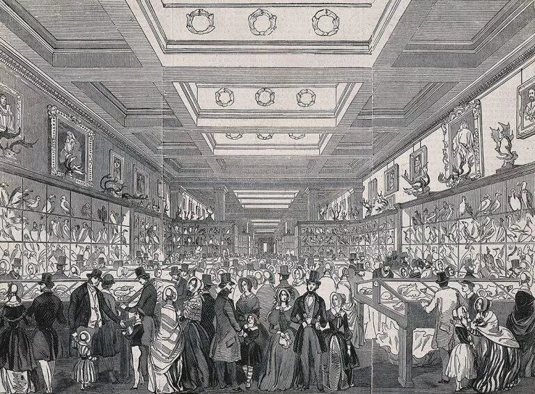 The British Museum: the Zoological Gallery, crowded with holiday visitors. Wood engraving, 1845.