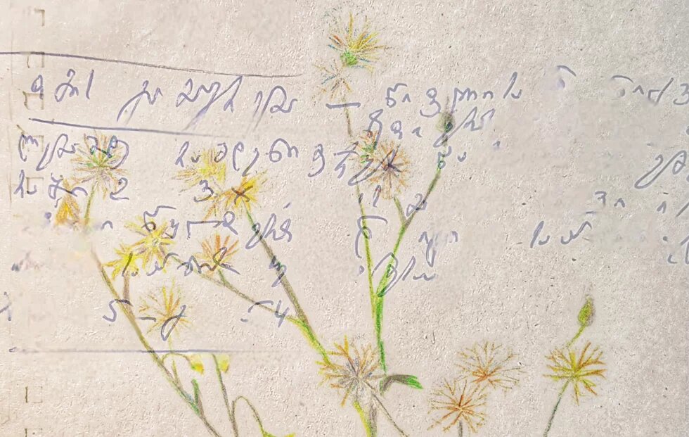 Text and flowers