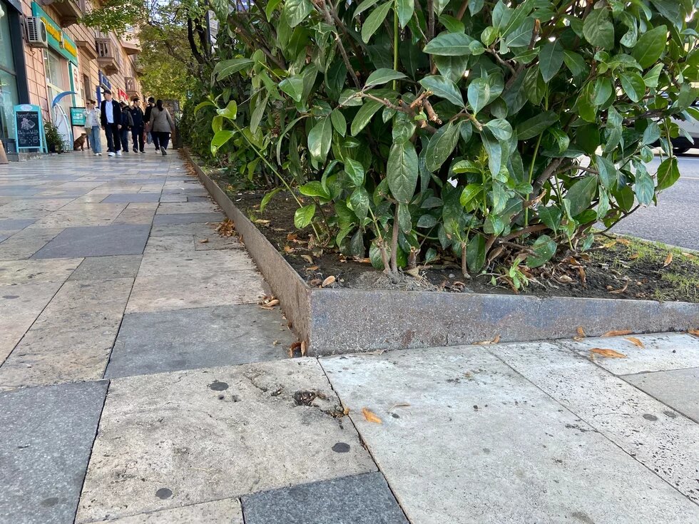 Example of an elevated green space on Melikishvili Street Example of an elevated green space on Melikishvili Street