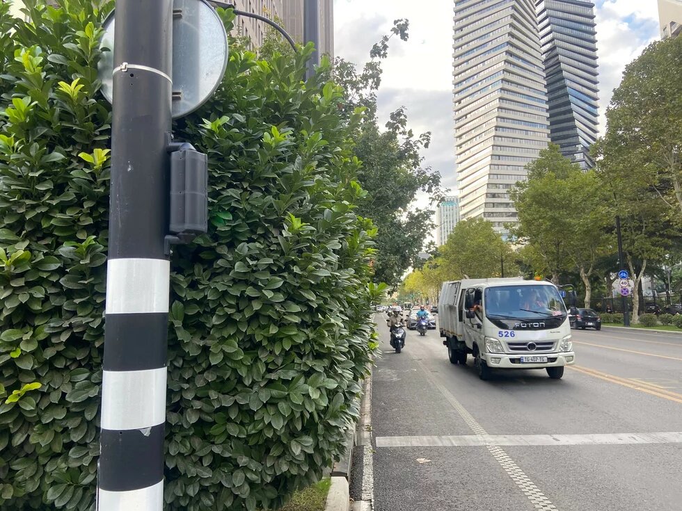 A cycling traffic light completely blocked by a continuous hedge on Chavchavadze Avenue A cycling traffic light completely blocked by a continuous hedge on Chavchavadze Avenue