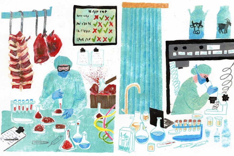 The illustration of butchery and laboratory.