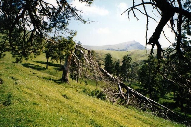 Borjom-Kharagauli National Park Borjom-Kharagauli National Park