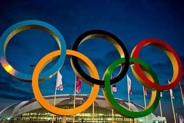 Die Olympischen Ringe vor der Bolshoy Arena in Sotschi