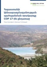 «Հայաստանի կենսաբազմազանության պահպանության օրակարգը COP17-ից առաջ» վերնագրով զեկույցի շապիկը՝ Ինգա Զարաֆյանի և Վիկտորիա Բուրնազյանի հեղինակությամբ, հրատարակված Հայնրիխ Բյոլ հիմնադրամի երևանյան գրասենյակի կողմից։ Շապիկին պատկերված է պոչամբարի տեսարան՝ շրջապատված լեռնային, մասամբ չոր և կանաչապատ բնապատկերով։